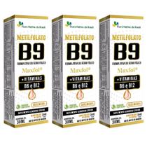KIT 3X Metilfolato Maxfol (Vitaminas B9,B6,B12) 30ml - Flora Nativa KIT 3X Metilfolato Maxfol (Vitaminas B9,B6,B12) 30ml - Flora Nativa