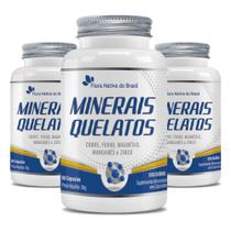 Kit 3x Minerais Quelatos (Cobre, Ferro, Magnésio, Manganês e Zinco) 60 Cápsulas Cada - Flora Nativa Kit 3x Minerais Quelatos (Cobre, Ferro, Magnésio, Manganês e Zinco) 60 Cápsulas Cada - Flora Nativa