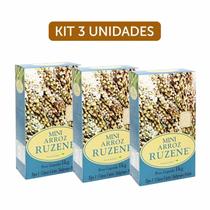 Kit 3X: Mini Arroz Integral Curto Ruzene 1Kg