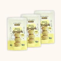 Kit 3X: Mistura para Muffin Salgado Orgânico Ecobio 250g