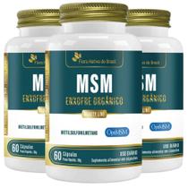 KIT 3X MSM Enxofre Orgânico 500mg 60 cápsulas - Flora Nativa
