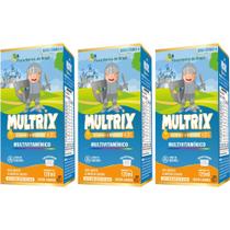 KIT 3X MULTRIX (Xarope Infantil com Vitaminas de A a Z) 120ml - Flora Nativa