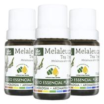 Kit 3x Óleo Essencial Melaleuca (Tea Tree) 5ml - Wnf