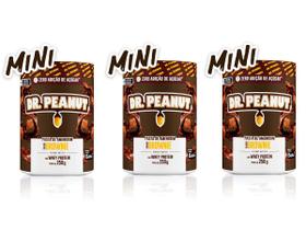 Kit 3x Pasta de Amendoin Mini com Whey Protein - Dr. Peanut 250g - Brownie