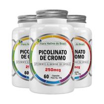 Kit 3x Picolinato De Cromo Puro 250µg 60 Cápsulas Flora Nativa do Brasil Kit 3x Picolinato De Cromo Puro 250µg 60 Cápsulas Flora Nativa do Brasil