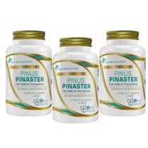 Kit 3x Pinus Pinaster 200mg + Vit E, Selênio e Zinco 60 Cápsulas Flora Nativa