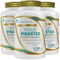 KIT 3X Pinus Pinaster + Vitamina E, Selênio e Zinco 60 cápsulas - Flora Nativa