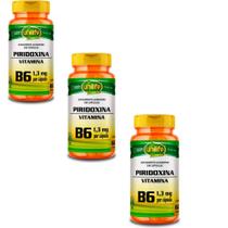 Kit 3x Piridoxina Vitamina B6 1,3mg 60 Capsulas Unilife