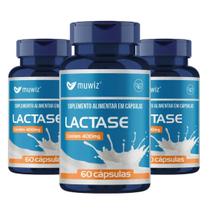 Kit 3x Potes Encapsulado Lactase Enzimas Muwiz 400mg 60 Cápsulas Probióticos, Carvão Ativado, Glutamina Kit 3x Potes Encapsulado Lactase Enzimas Muwiz 400mg 60 Cápsulas Probióticos, Carvão Ativado, Glutamina