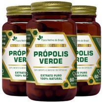 KIT 3X Própolis Verde Extrato Seco 60 cápsulas - Flora Nativa KIT 3X Própolis Verde Extrato Seco 60 cápsulas - Flora Nativa