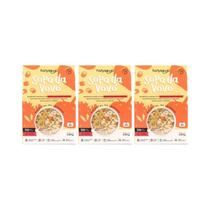 Kit 3X: Sopa Da Vovó Sem Glúten Holysoup 130G