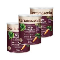 Kit 3X: Sopa Proteica Terramazonia 320G