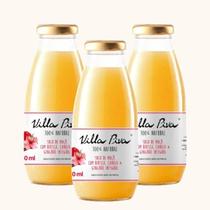 Kit 3X: Suco de Maçã com Hibisco, Canela e Gengibre Sem Açúcar Villa Piva 300ml Kit 3X: Suco de Maçã com Hibisco, Canela e Gengibre Sem Açúcar Villa Piva 300ml