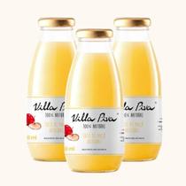 Kit 3X: Suco de Maçã Integral Sem Açúcar Villa Piva 300ml Kit 3X: Suco de Maçã Integral Sem Açúcar Villa Piva 300ml