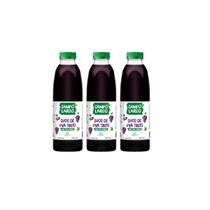 Kit 3x Suco de Uva Integral Garrafa Pet 900ml Campo Largo