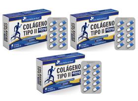Kit 3x Suplemento Alimentar Colágeno Tipo 2 40mg 30 cápsulas Flora Nativa Kit 3x Suplemento Alimentar Colágeno Tipo 2 40mg 30 cápsulas Flora Nativa
