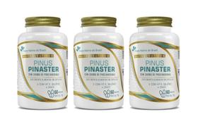 Kit 3x Suplemento Alimentar Pinus Pinaster 60 cápsulas Flora Nativa