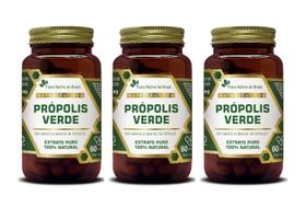 Kit 3x Suplemento Alimentar Propolis Verde Extrato Puro 60 cápsulas Flora Nativa Kit 3x Suplemento Alimentar Propolis Verde Extrato Puro 60 cápsulas Flora Nativa