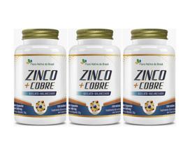 Kit 3x Suplemento Alimentar Zinco com Cobre 500mg 60 cápsulas Flora Nativa