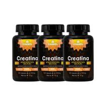 Kit 3x Suplemento Creatina 500mg 120 Cápsulas - CHAMEL