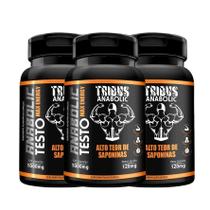 Kit 3x Testo Max Energy 120 Cápsulas Medinfarm