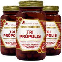 KIT 3X Tri Própolis ( Própolis Vermelha, Verde e Marrom) 60 Cápsulas - Flora Nativa