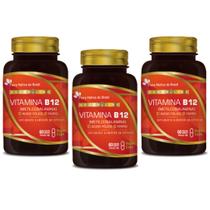 Kit 3x Vegan Vitamina B12 + Ácido Fólico + Ferro 60 Cáps Flora Nativa Kit 3x Vegan Vitamina B12 + Ácido Fólico + Ferro 60 Cáps Flora Nativa