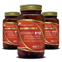 Kit 3x Vegan Vitamina B12 + Ferro + Ácido Fólico 60 Vegan Caps - Flora Nativa