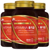 KIT 3X Vitamina B12 + Ferro + Ácido Fólico 60 Vegan Caps - Flora Nativa
