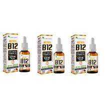 Kit 3x Vitamina B12 Morango 20ml - Metilcobalamina 9,94 mcg por gota - Flora Nativa