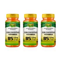 Kit 3x Vitamina B5 Ácido Pantotênico 3x60 cápsulas Unilife Kit 3x Vitamina B5 Ácido Pantotênico 3x60 cápsulas Unilife