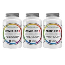 Kit 3x Vitamina Complexo B 60 Cápsulas 500mg Flora Nativa