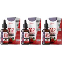Kit 3x Vitamina Sublingual B12 Metilcobalamina 30ml gotas Genesis