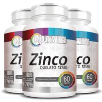 Kit 3X Zinco Quelato 60 Cápsulas - Multivita