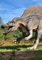 Kit 4 Adesivos Encapar Caderno Espiral Dinossauro Kit 4 Adesivos Encapar Caderno Espiral Dinossauro