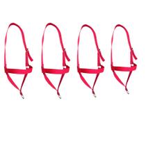 Kit 4 Cabresto Boi Vaca Com Ajuste Bovinos Fita Polipropileno Kit 4 Cabresto Boi Vaca Com Ajuste Bovinos Fita Polipropileno