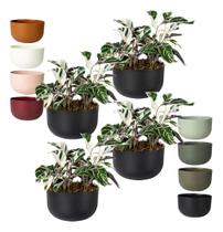 Kit 4 Cachepo Due N6 Cuia 21 Plantas Vasos Raiz 24cm - Cor Kit 4 Cachepo Due N6 Cuia 21 Plantas Vasos Raiz 24cm - Cor