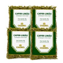 Kit 4 Capim Limão Folhas Desidratadas 30g Chamel Original Kit 4 Capim Limão Folhas Desidratadas 30g Chamel Original