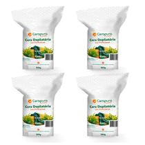 Kit 4 Ceras depilatória elástica algas - Total 2Kg