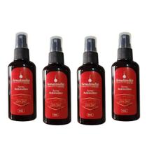 Kit 4 Cheirinho de Carro Amor no Ar Odorizador Aromatizador Spray 60ml Senalândia - Envio Já
