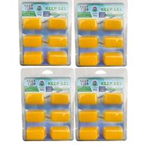 Kit 4 Clarificante finalizador Keepclor pastilha em gel 180g