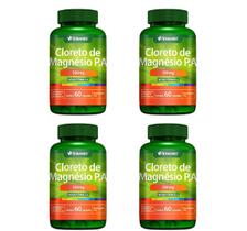 Kit 4 Cloreto De Magnésio P.a 500mg 60 Caps - Herbamed