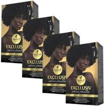 Kit 4 Coloração Creme Permanente Excllusiv Color Pratic Preto 2.0 Haskell Kit 4 Coloração Creme Permanente Excllusiv Color Pratic Preto 2.0 Haskell