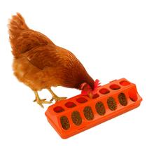 Kit 4 Comedouro Linear 30 cm Plástico Galinha Galo Pinto Codorna Patos