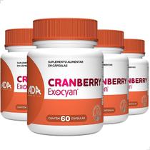 Kit 4 Cranberry 240 Cápsulas Extrato Seco Suplemento Original Fruta Natural Concentrado Vitamina
