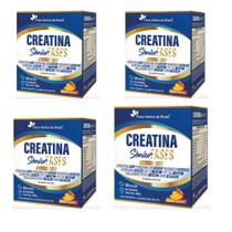 Kit 4 Creatina Sênior Fases + Associações Manga 4x20 sachês 200 gramas Flora Nativa Sabor:Manga Kit 4 Creatina Sênior Fases + Associações Manga 4x20 sachês 200 gramas Flora Nativa Sabor:Manga