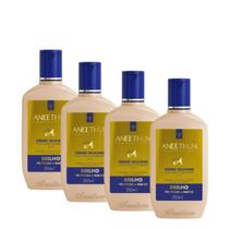 Kit 4 Creme de Silicone Linha A 250ml-Aneethun