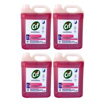 Kit 4 Desengordurantes Concentrado Floral 5 Litros CIF