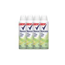 Kit 4 Desodorante Antitranspirante Aerosol Feminino Rexona Erva Doce 72 horas 150ml