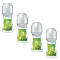 Kit 4 Desodorante Rollon Erva Doce 48ml Avon Kit 4 Desodorante Rollon Erva Doce 48ml Avon